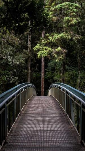 蜘蛛池怎么用视频截图2