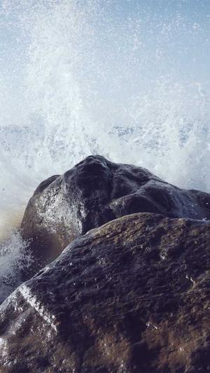 我泛真心萌章节目录截图3