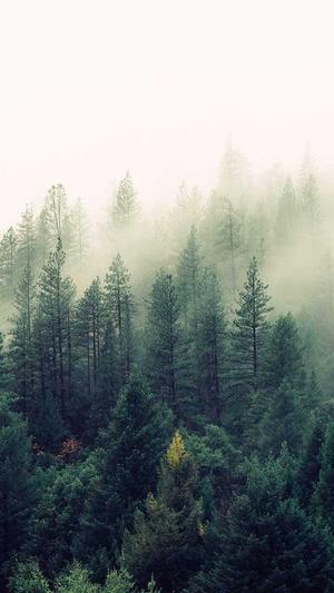 黑帽SEO技术截图1