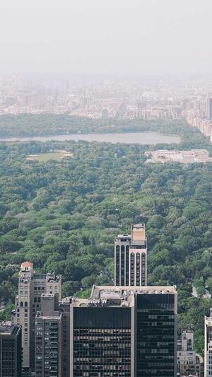 seo综合查询工具网站截图1