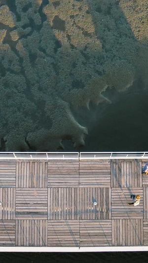 高酷蜘蛛池官网截图4