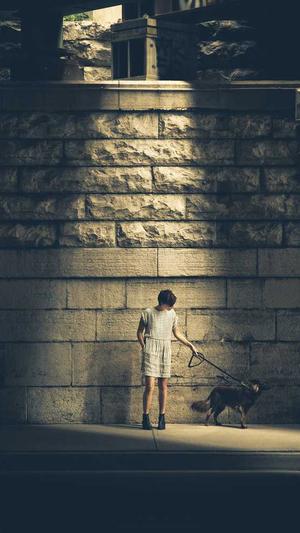 南昌网站建设截图1