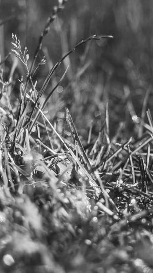 吉安网站建设截图1