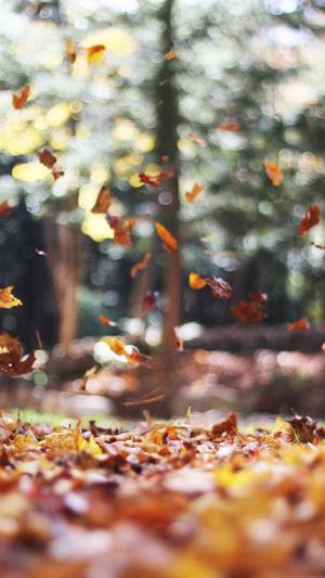 企业网站建设平台截图5