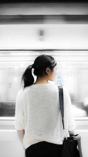 免费蜘蛛池使用截图4