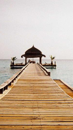 自己建蜘蛛池的方法截图4