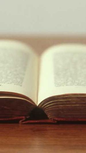 青海网站建设截图3