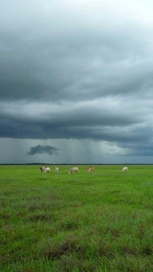 如何建立蜘蛛池截图4