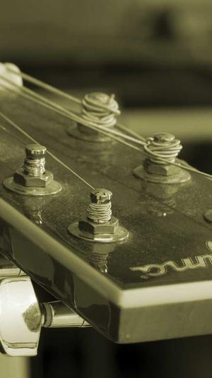 兰州seo工具下载截图1