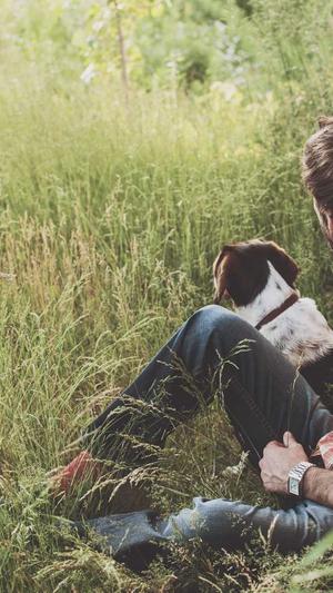 成都网站建设今明互联截图1