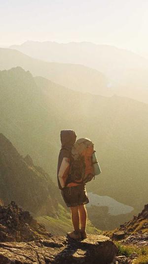 seo优化的重要工具截图3