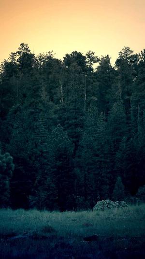 seo优化工具好用截图3