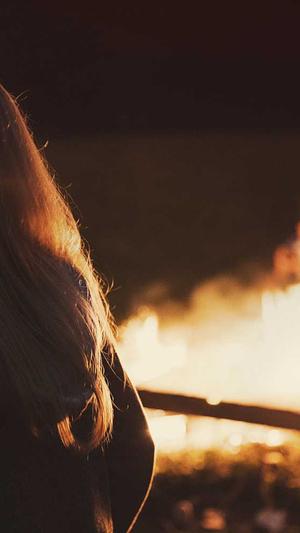 常德网站建设截图4