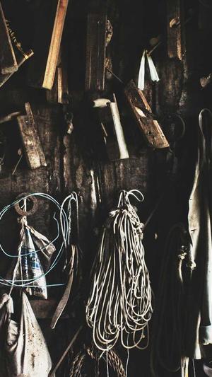 seo优化工具在线咨询截图1