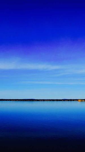 小霸王万能蜘蛛池截图2