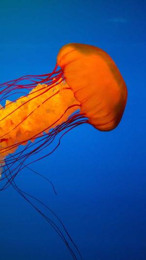 网站seo优化方法截图2