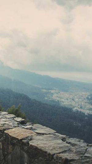 泛目录排名截图2