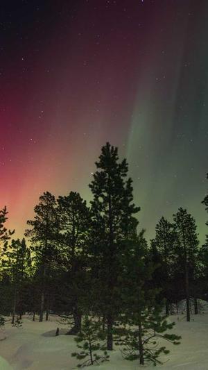 有实力的seo关键词优化截图3