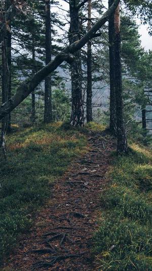 吉安网站建设截图4