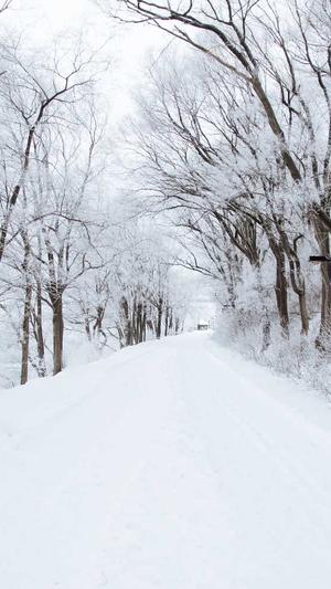 厦门网站建设截图4