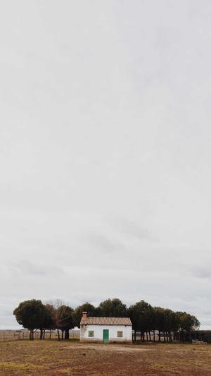 便宜的蜘蛛池截图3