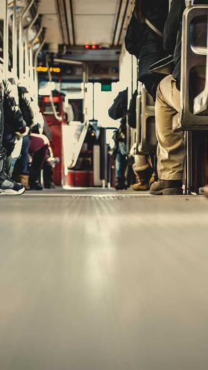 蜘蛛池出租代理截图3