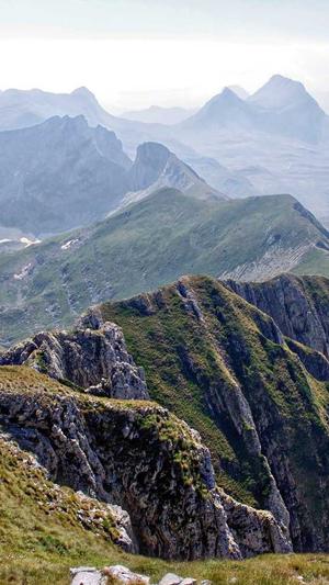 蜘蛛池程序源码截图2