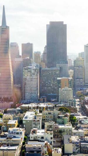 搭建蜘蛛池做seo 外推截图1