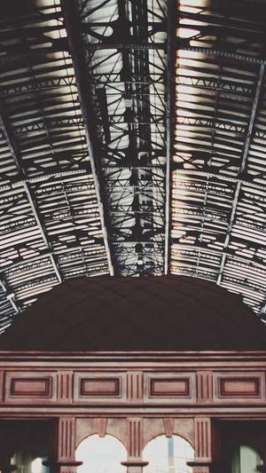 小旋风蜘蛛池最新版截图5