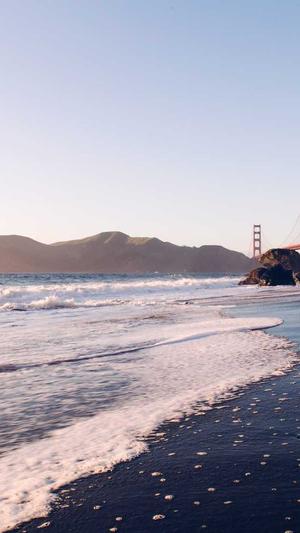 小旋风蜘蛛池正版授权截图3