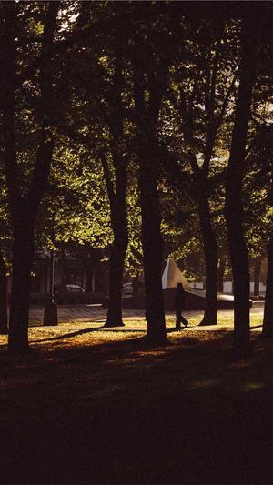 蜘蛛池出租教程视频截图2