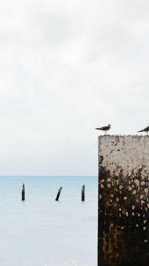 天道蜘蛛池4.2源码截图3