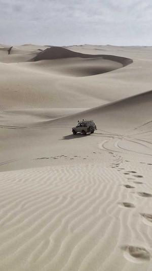 烟台seo优化截图4