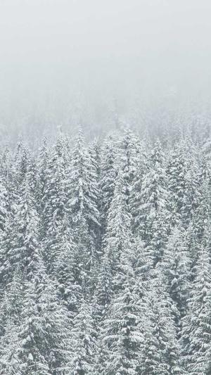 喀什网站建设截图1