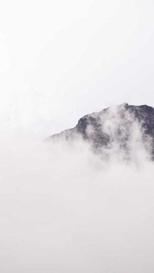 seo网站分析工具截图1