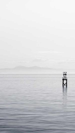 seo系统培训班截图2