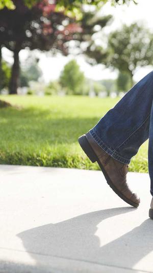 泛目录推广截图3