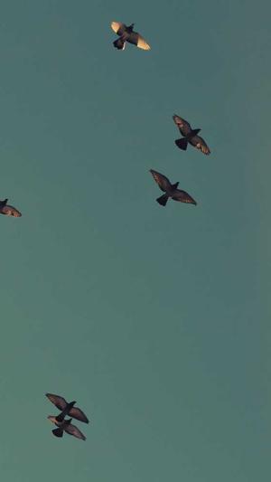 seo优化文档截图1