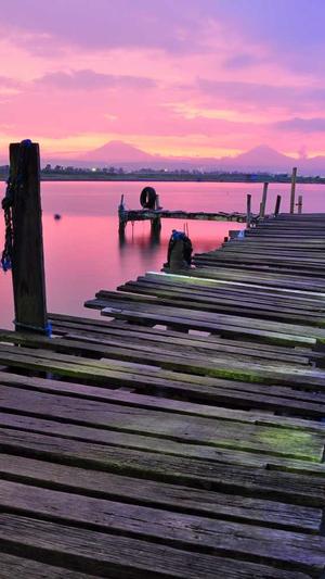 蜘蛛池程序此为zjkwlgs截图4