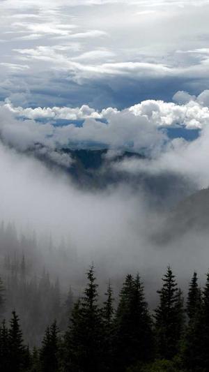 滴滴蜘蛛池截图2