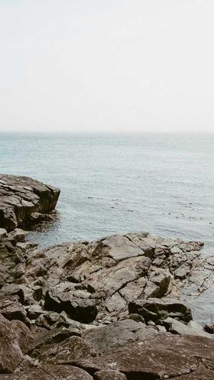 海口网站网站建设截图1