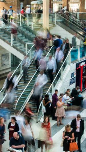 建蜘蛛池多少钱截图3