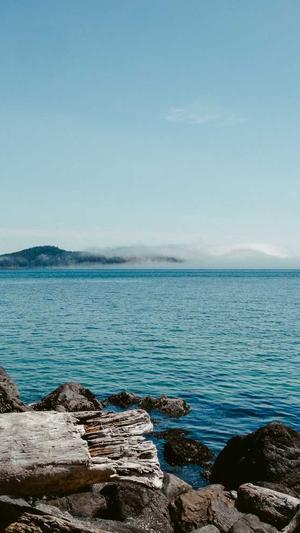 seo图片优化截图3