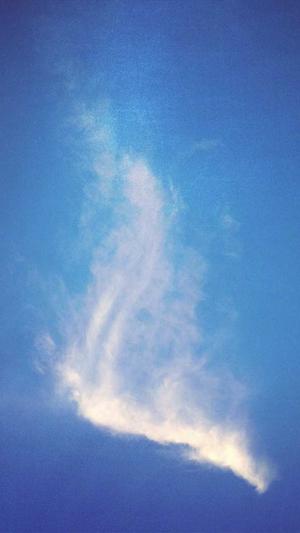 南昌网站建设截图5