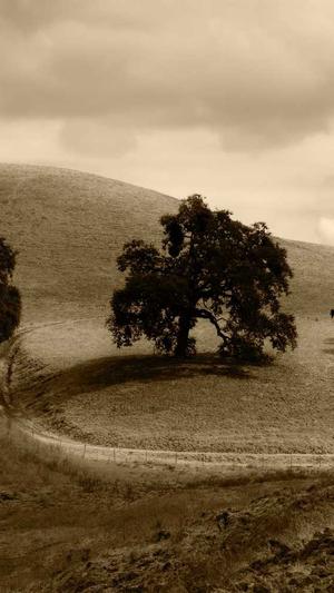 seo群发工具截图2